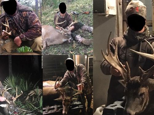 Tensas Parish La, The Glade Huntin : Saint Joseph : Tensas Parish : Louisiana