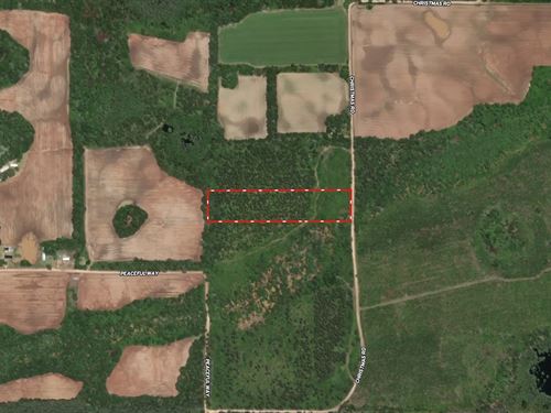 Christmas Road Tract Lot 7 : Campbellton : Jackson County : Florida