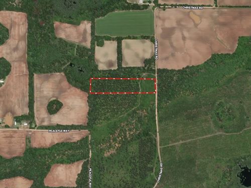 Christmas Road Tract Lot 8 : Campbellton : Jackson County : Florida