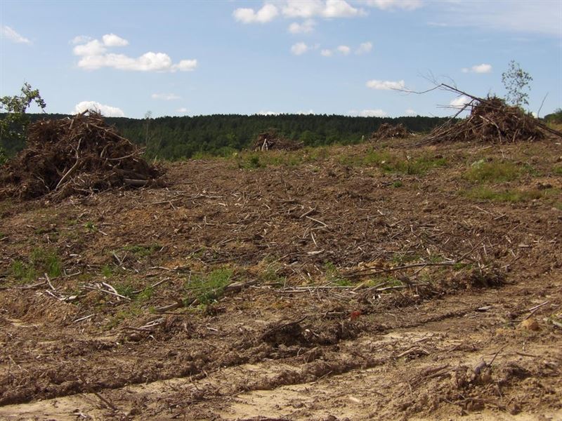 Cleared, Creek, Paved rd Frontage : Evensville : Bledsoe County : Tennessee
