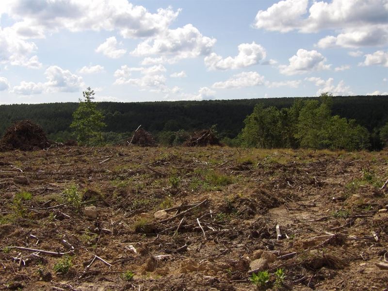 Views, Creek, rd Frontage : Evensville : Bledsoe County : Tennessee