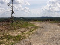 Driveway, Creek, Views : Evensville : Bledsoe County : Tennessee