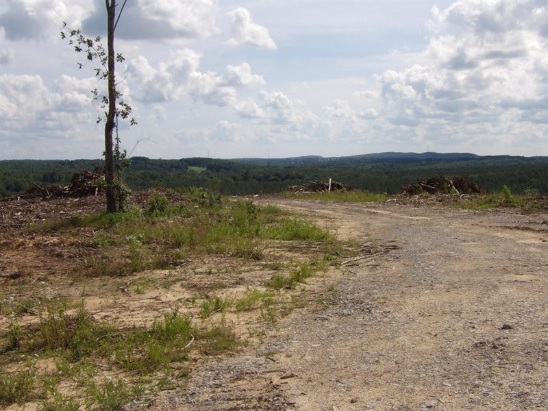 Driveway, Creek, Views : Evensville : Bledsoe County : Tennessee