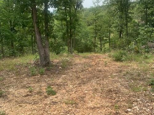 Land for Sale in Southern MO : Vanzant : Douglas County : Missouri