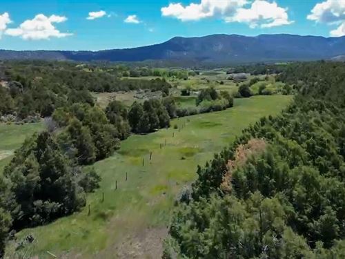 Bear Paw Valley 70 Acres : Regina : Sandoval County : New Mexico