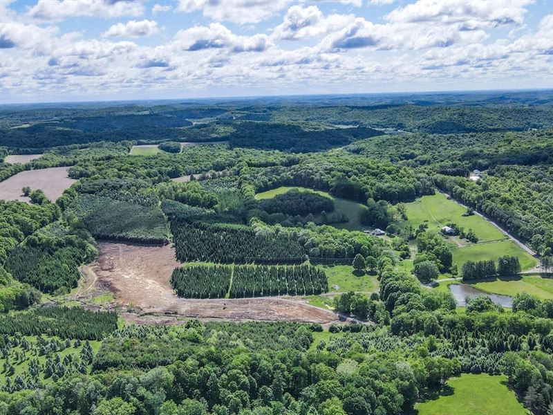 Techniglas Rd, 64 Acres, Licking : Saint Louisville : Licking County : Ohio