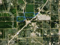 15.20 Ac Hwy 569, Liberty, MS : Liberty : Amite County : Mississippi