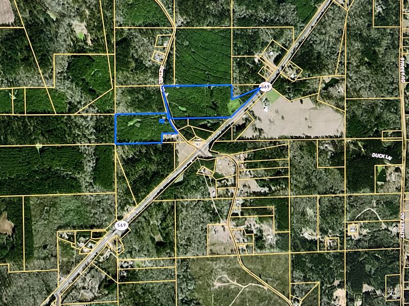 15.20 Ac Hwy 569, Liberty, MS : Liberty : Amite County : Mississippi