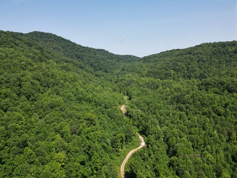Adams Branch 45 : Williamsburg : Whitley County : Kentucky