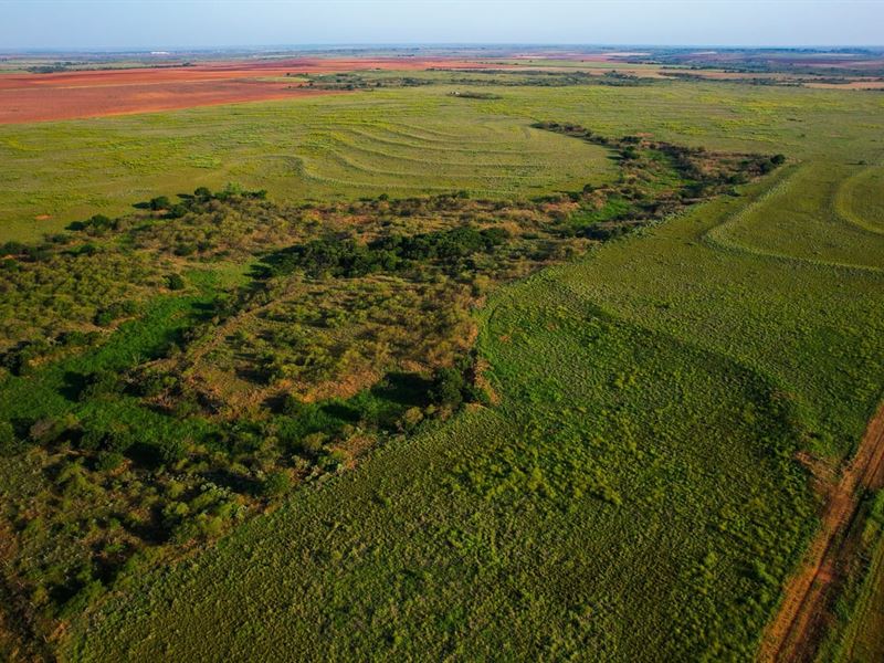 422.1 Acres Hall County : Memphis : Hall County : Texas