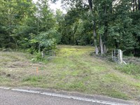 Hunting Land, Creek, 100 Acres : Sardis : Hardin County : Tennessee