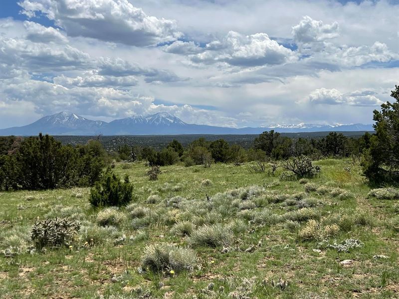Cr 521.3, Walsenburg, Co 81089 : Walsenburg : Huerfano County : Colorado