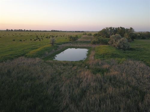 Dps Upland Reserve-480 : Ashton : Spink County : South Dakota