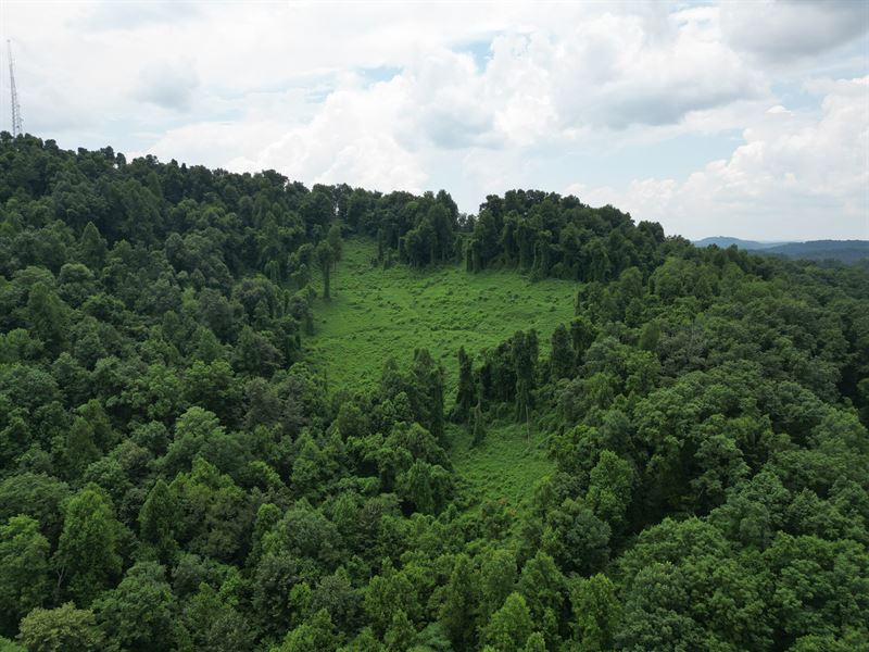 Upper Raccoon Creek : London : Laurel County : Kentucky