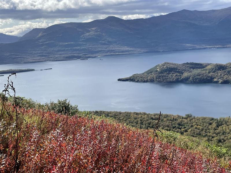 Amook Island Cabin : Old Harbor : Kodiak Island Borough : Alaska