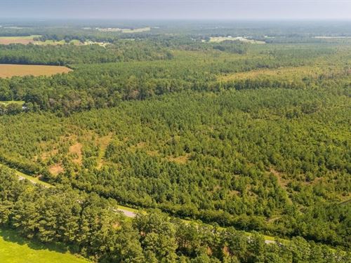 Updated, 28.64 Acres of Unrestric : Beulaville : Duplin County : North Carolina