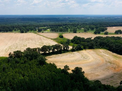 Ag, Hunting, Geneva Co, AL : Geneva : Alabama