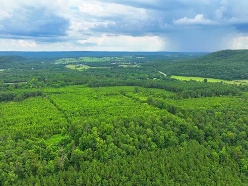 Caglesville 110 : Caglesville : Pope County : Arkansas