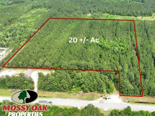 20 Ac Recreational Timberland : Jesup : Wayne County : Georgia