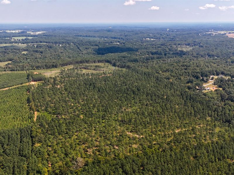 Buffalo Tract : Buffalo : Union County : South Carolina