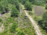 Eighty Is Enough : Ariton : Dale County : Alabama