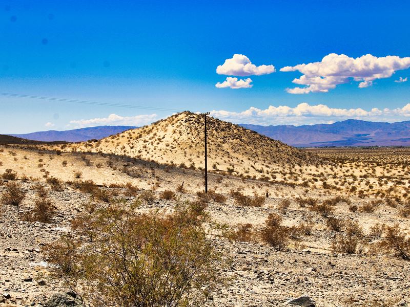 Snake Eyes On Starlite Lane : Newberry Springs : San Bernardino County : California