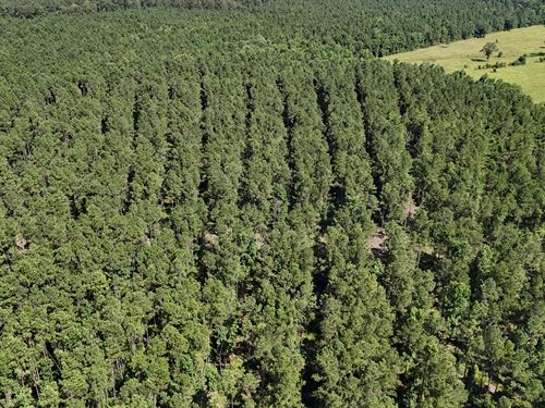 La, Winn 80 Acres : Winnfield : Winn Parish : Louisiana