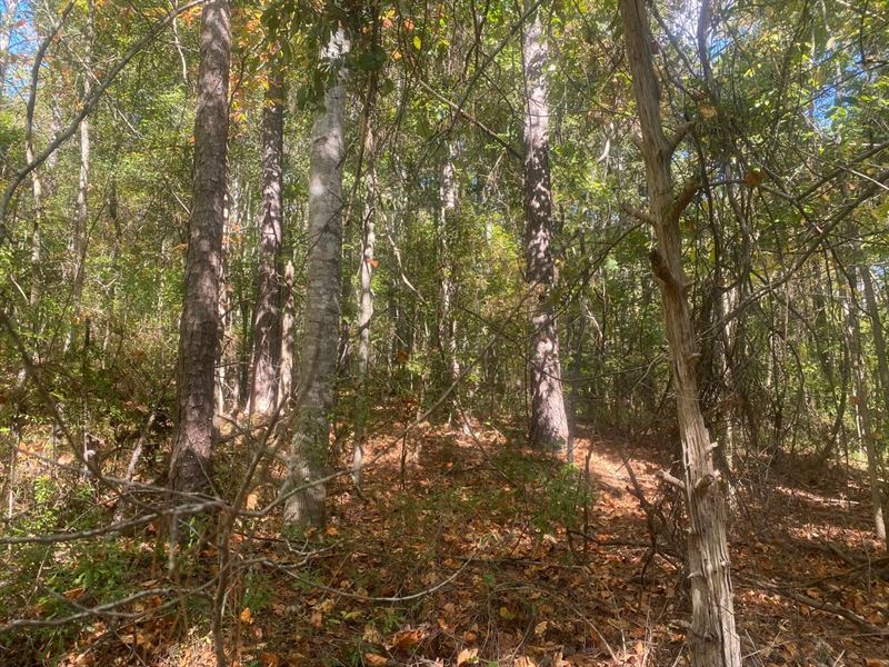 Moore Pryor 2De Pryor 303 : Pinetucky : Perry County : Alabama