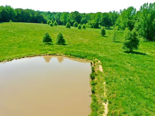 44 Acre Dream Property Minutes From : Paris : Henry County : Tennessee