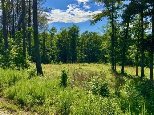 Beautiful 15 Acre Tract in Humphrey : Waverly : Humphreys County : Tennessee