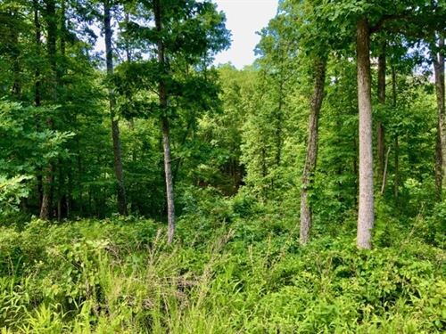 Wooded 13.6 Acre Tract in Humphreys : Waverly : Humphreys County : Tennessee