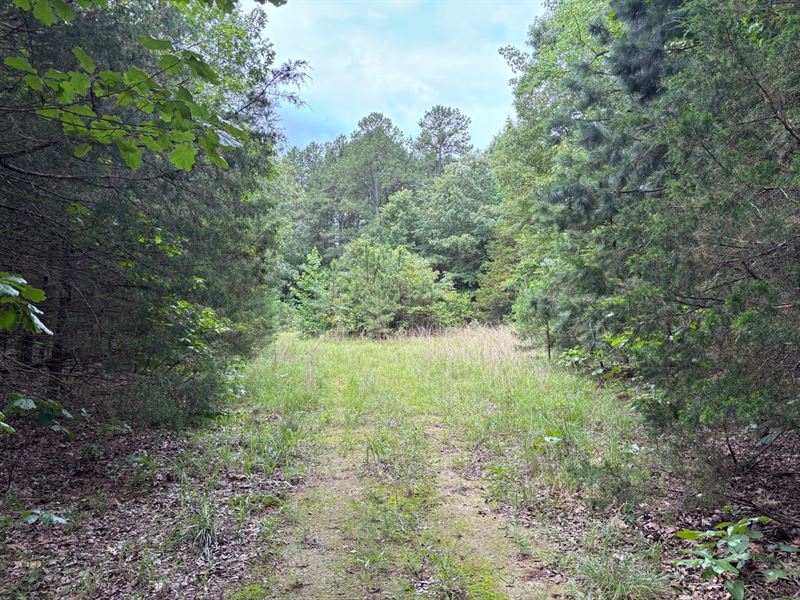 18 Acre Ramo Loop Undeveloped : Searcy : White County : Arkansas