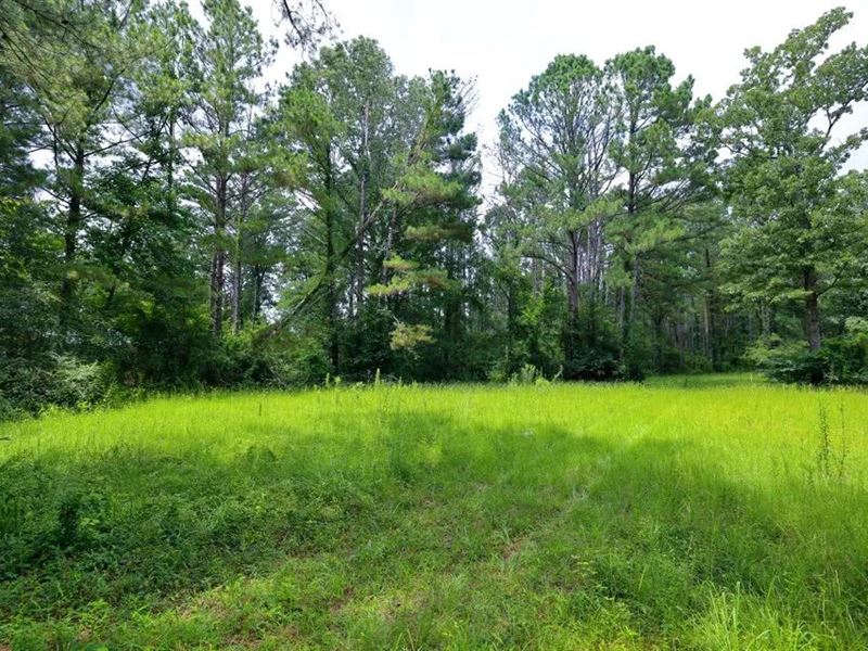 18.5 Acres in Rankin County, MS : Brandon : Rankin County : Mississippi