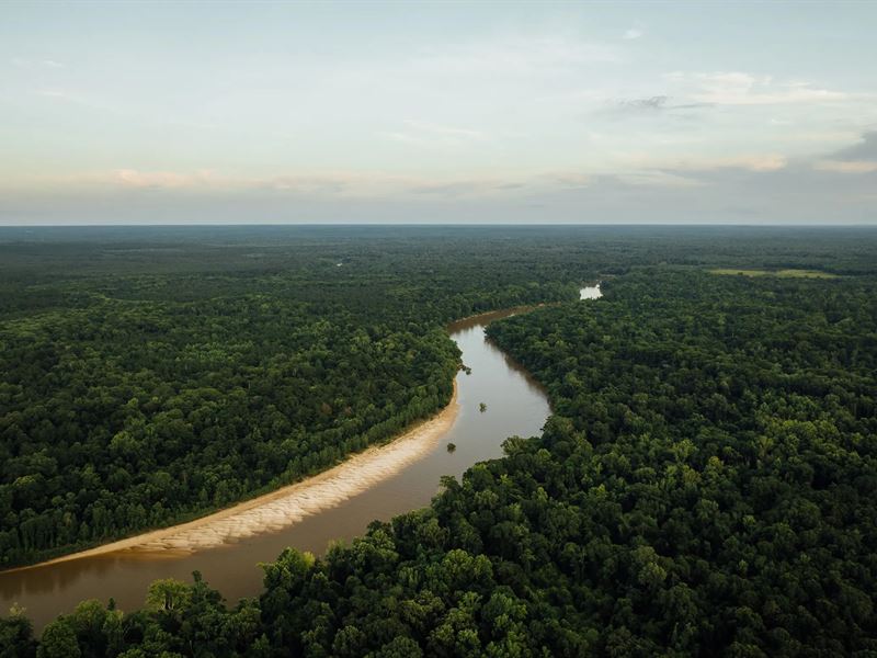 510 Acres with A Barndominium in Gr : McLain : Greene County : Mississippi
