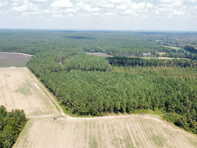 64.5 Acres in Webster County, MS : Eupora : Webster County : Mississippi