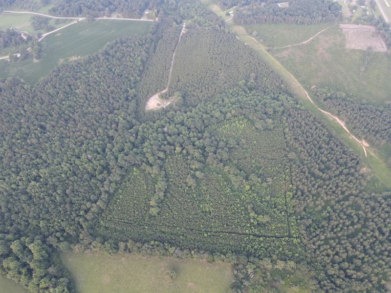 17 Acres in Jefferson Davis County : Bassfield : Jefferson Davis County : Mississippi