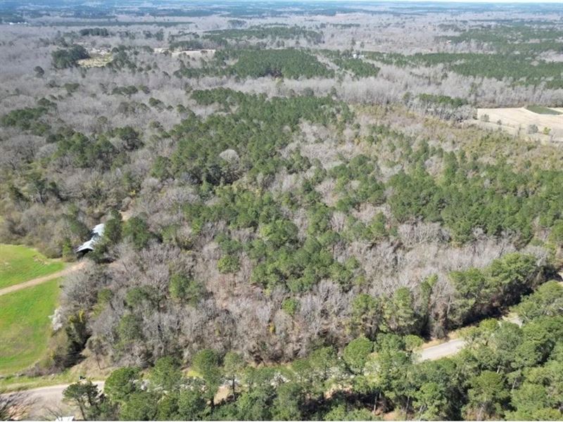 34 Acres in Winston County in Noxap : Noxapater : Winston County : Mississippi