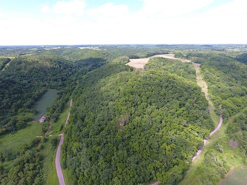 Sand Creek Dream : Gays Mills : Crawford County : Wisconsin
