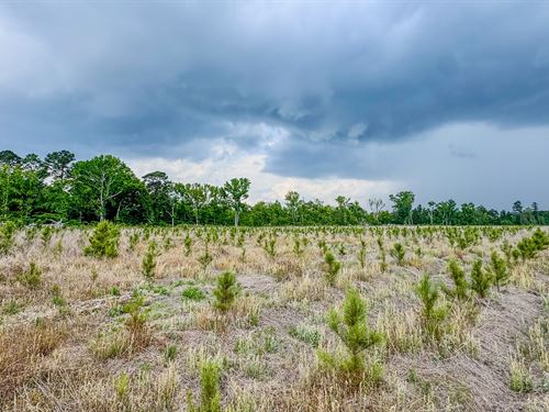 Bulloch Sands 11 : Statesboro : Bulloch County : Georgia