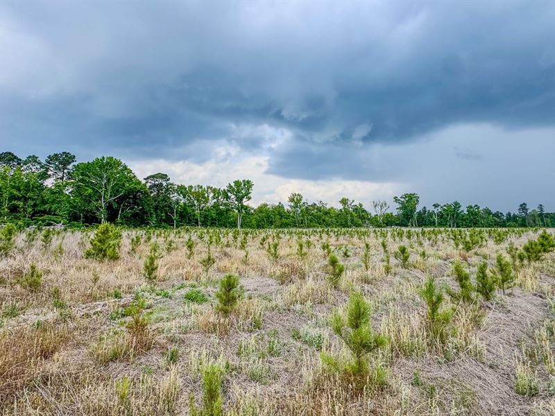 Bulloch Sands 11 : Statesboro : Bulloch County : Georgia