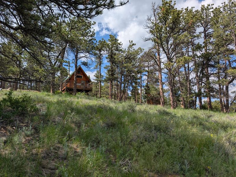 2989 Red Ashby Rd : Virginia Dale : Larimer County : Colorado