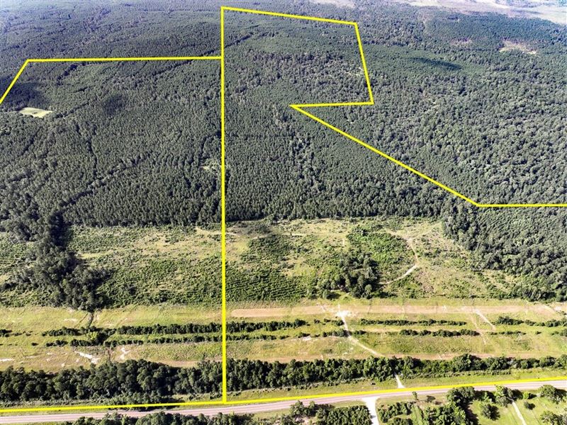 516 Acres, T-5, FM 2989 : Huntsville : Walker County : Texas