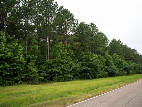 Jess Lyons Road Lot 4, 11 Acres : Columbus : Lowndes County : Mississippi