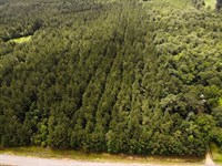 Jess Lyons Road Lot 6, 16 Acres : Columbus : Lowndes County : Mississippi