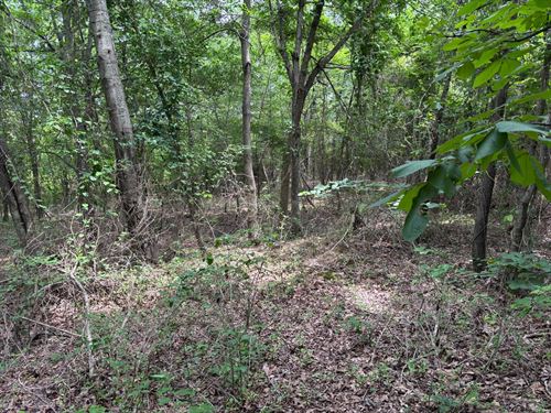 70 Acre Hardwood Slough : Star City : Lincoln County : Arkansas