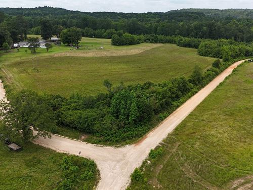 17.5 Ac. County Road 865 : Collinsville : Dekalb County : Alabama