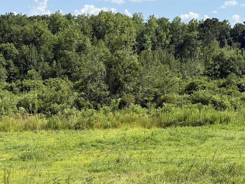 Ozark Tract : Ozark : Dale County : Alabama