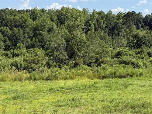 47 Ac Investment Land in Ozark, AL : Ozark : Dale County : Alabama