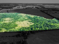 45 Acre Hunting & Recreational Land : Paris : Lamar County : Texas