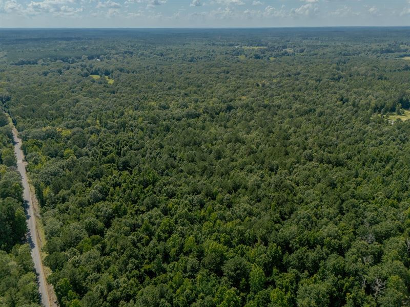 15.35 Acres in Rankin County MI : Florence : Rankin County : Mississippi